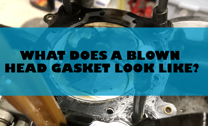 What does a blown head gasket look like?